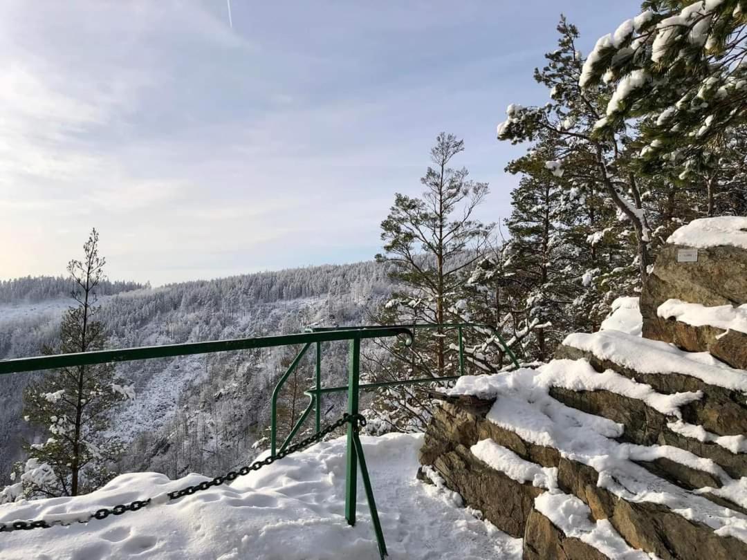 Bungalow Schwarzatalblick In Bad Blankenburg Ortsteil Boehlscheiben Kültér fotó